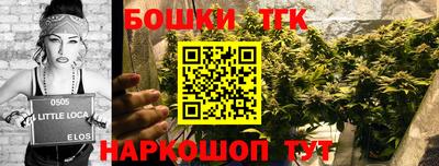 ALPHA PVP Пугачёв