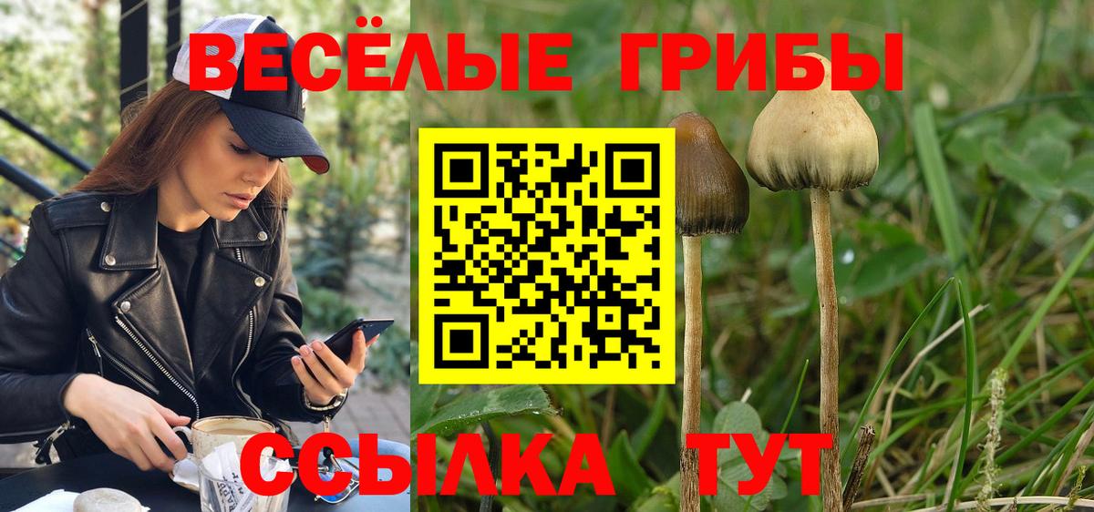 Галлюциногенные грибы мицелий Озёры