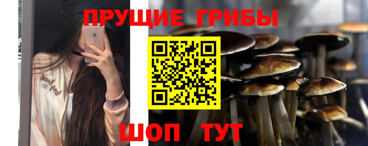 Псилоцибиновые грибы мицелий  Вход с VPN  Озёры 